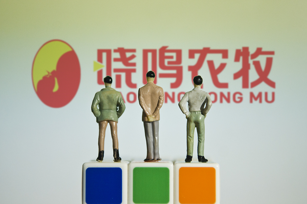 古东管家